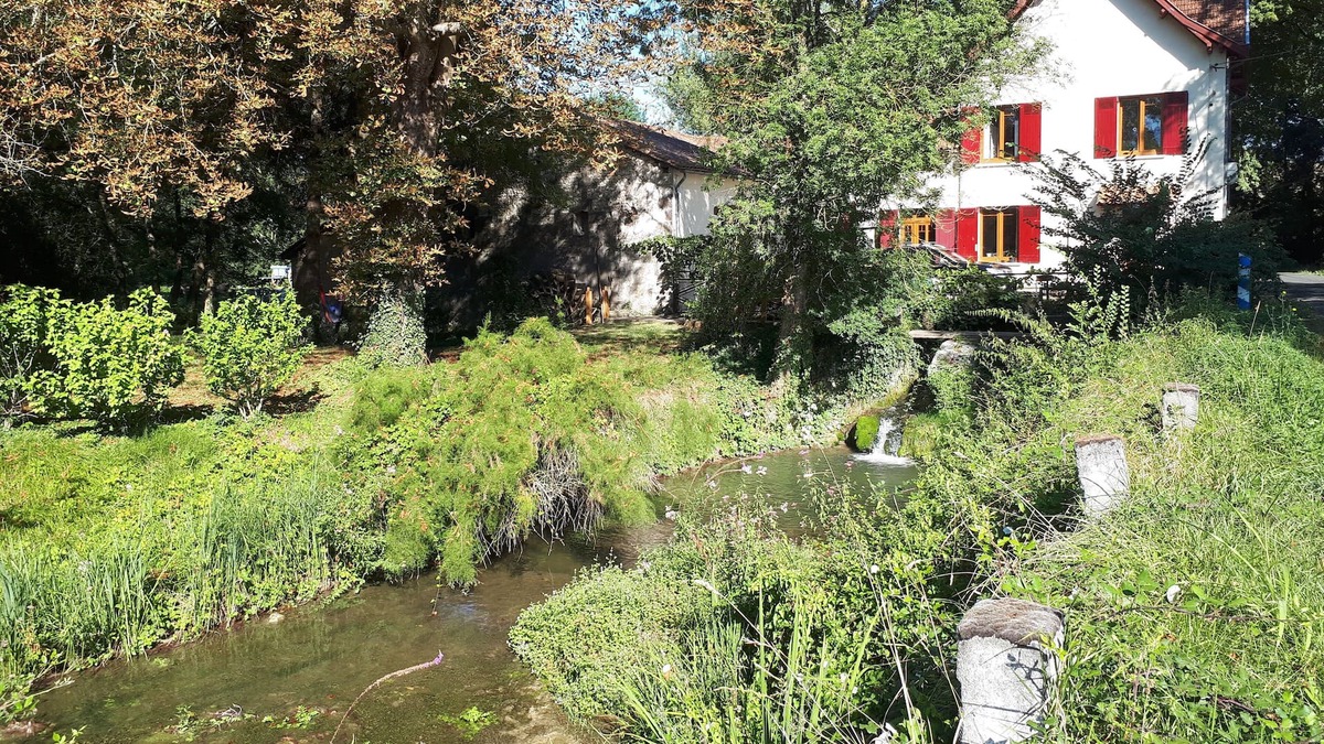 Nanteuil-de-Bourzac House | Three bedroom Country house with library in the Dordogne