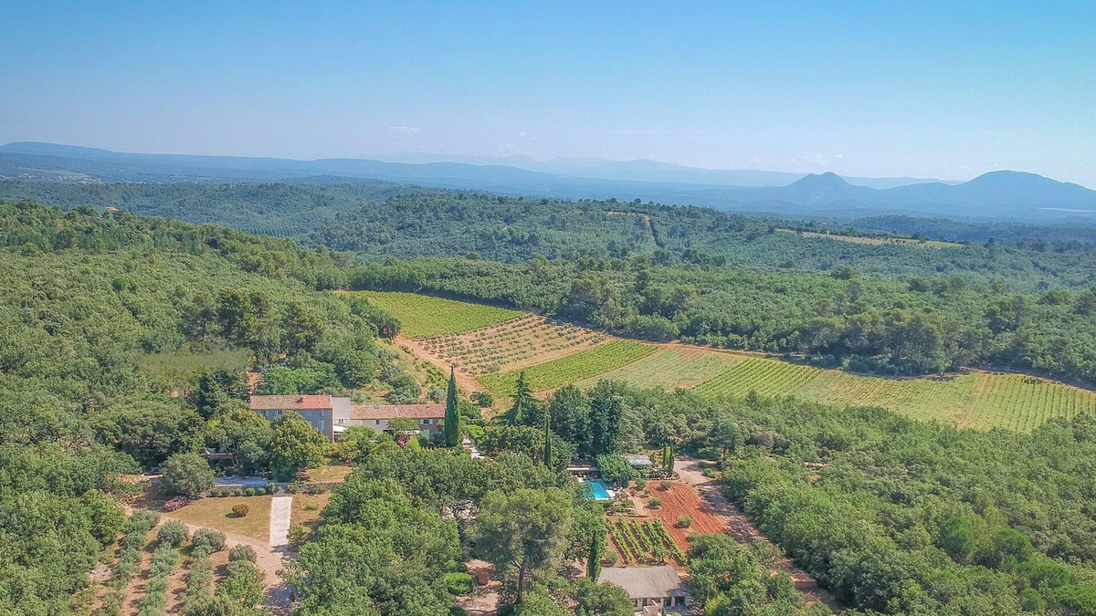 Saint-Maximin-la-Sainte-Baume House | Lovely gite on a vineyard. large swimming pool, very peaceful