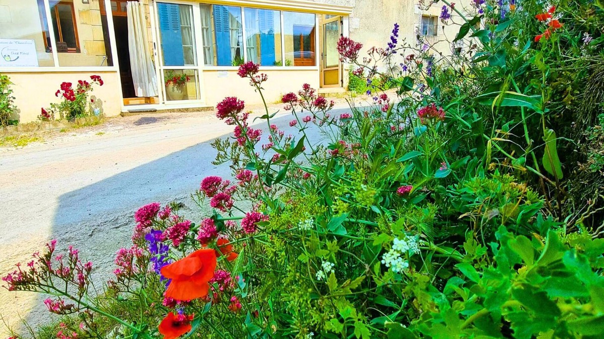 Treigny House | Gite Bienvenue chez Mémé