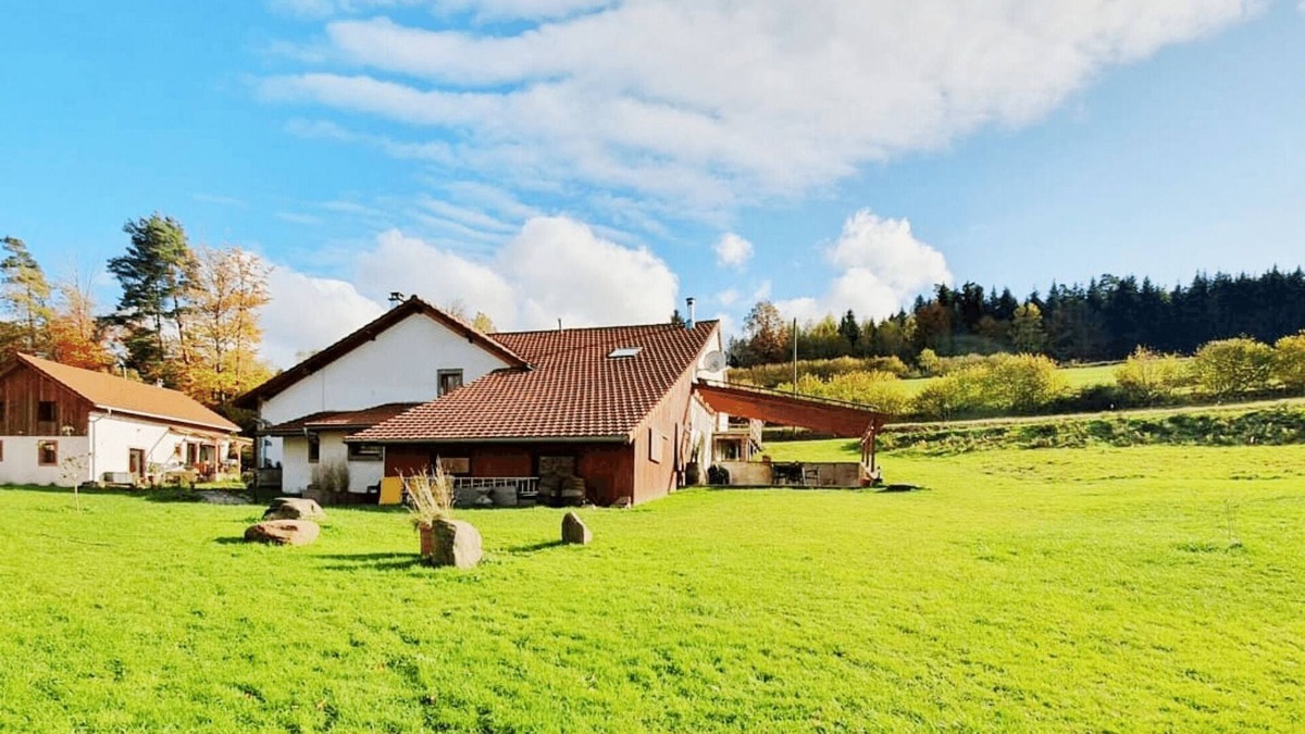 La Chapelle-devant-Bruyeres House | House for groups and families, middle of nature, quiet location, dogs allowed