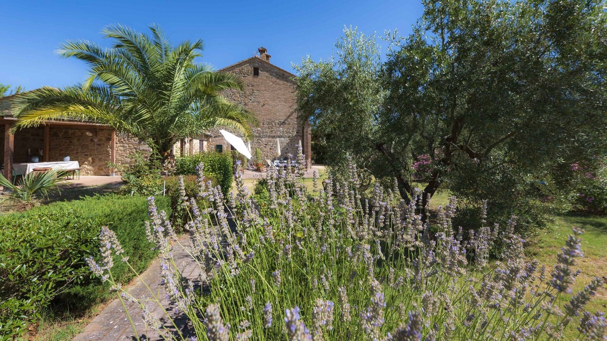 Radicondoli Other | FRANTOIO -IL VECCHIO MULINO TOSCANA