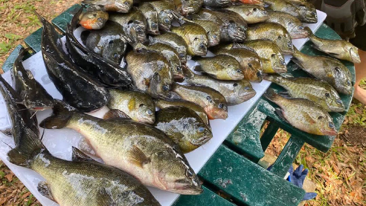 Satsuma House | FREE Boat to use - Fish from the TIKI outback - Dock your boat on canal- Pets OK