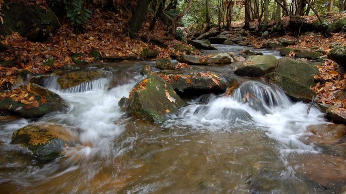 Robbinsville Cabin | Free Local Estate Tours + Peaceful Cabin + Hot Tub Overlooks Creek