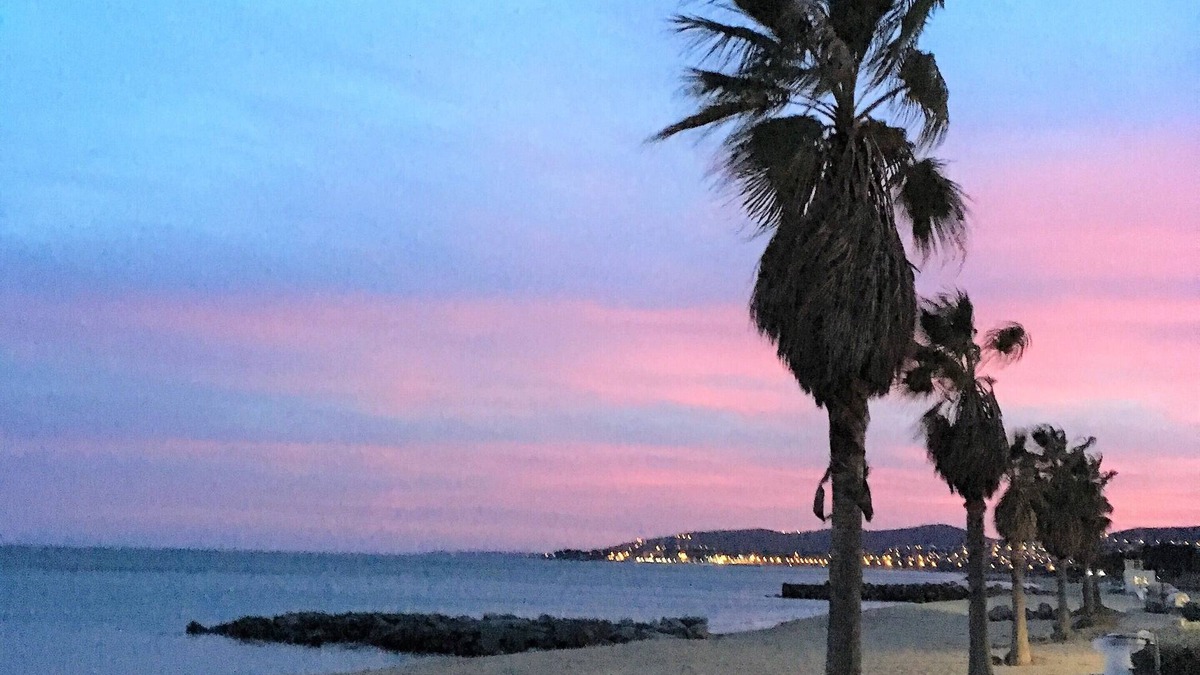 Frejus Port Apartment | FREJUS 2P RENOVATED 39M2 + 20M2 TERRACE 500m Harbor, Beach and Base Nature -PKG WIFI