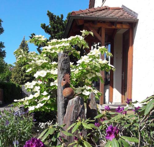 Villingen-Schwenningen House | Fremdenzimmer Familie Förster