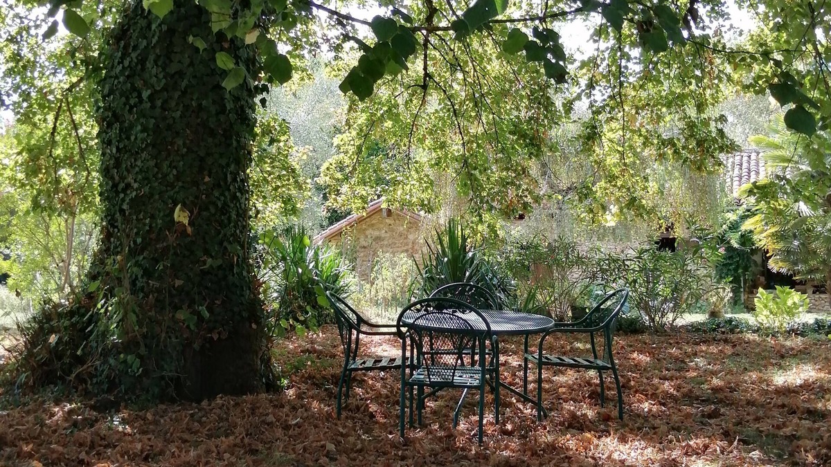 Coursac House | Fresh air and sunshine