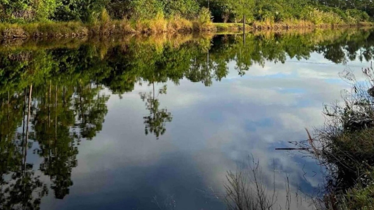 Rural Estates House | Fresh Water Canal Sunset Hide A Way North in Paradise,Naples,Florida
