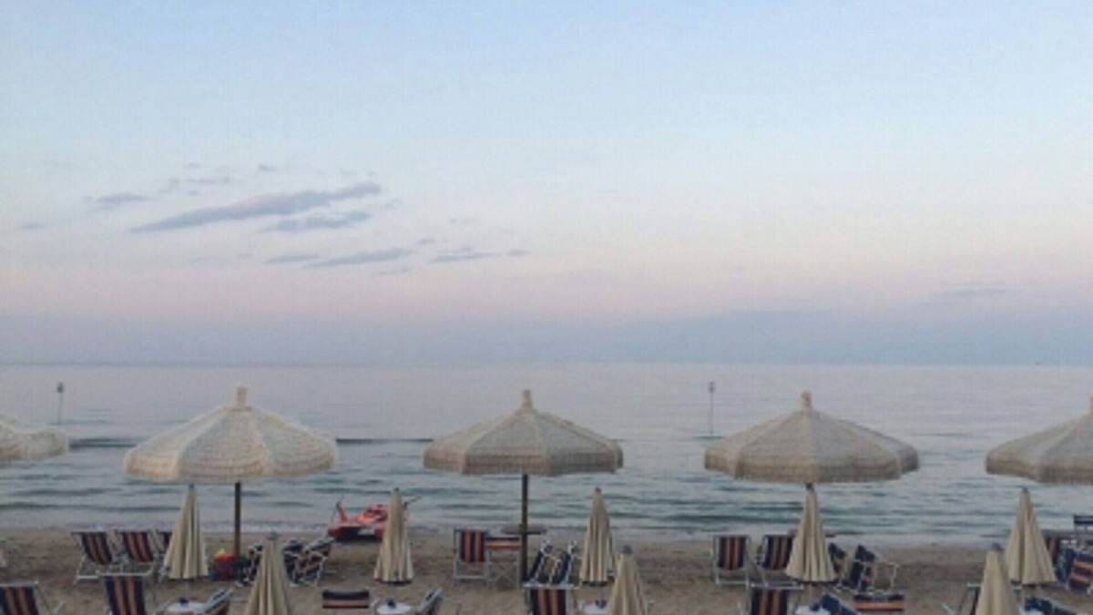 Pineto Apartment | Freshly watched sea view on the first floor 20 meters from the sea and pine forest
