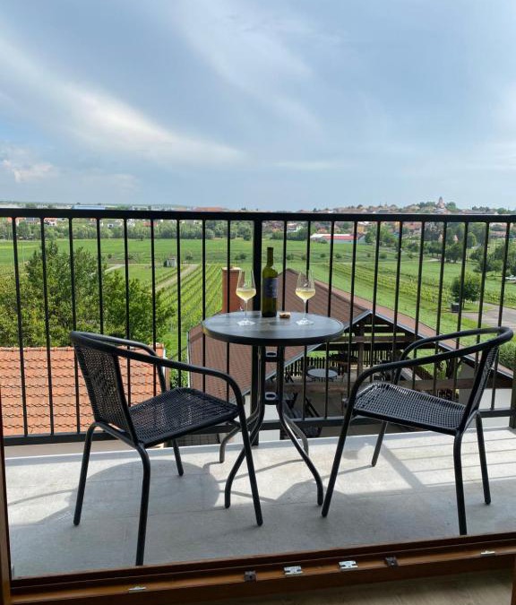 Boretice Apartment | Friends