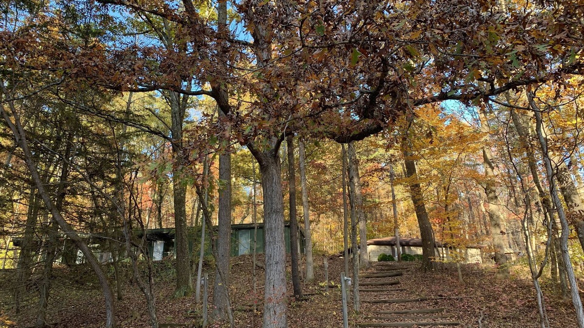 Lancaster Cabin | frontier lodge- Rustic lodge in a serene Timberland