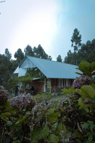 Vattavada House | Fruit land resort