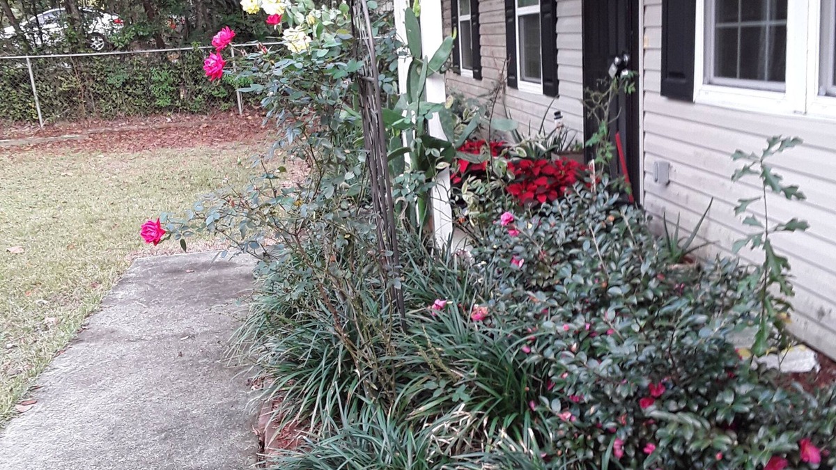 Tallahassee House | Fsu, Famu, Tally Airport, City Life in Tallahassee quiet living just quick ride.