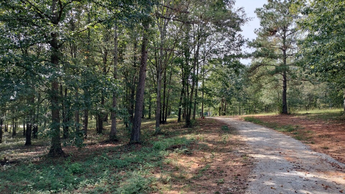 Ashland RV Rental | Full Hookup RV site-Pet Friendly! Big Foot Trail at Hairy Hiker Woods