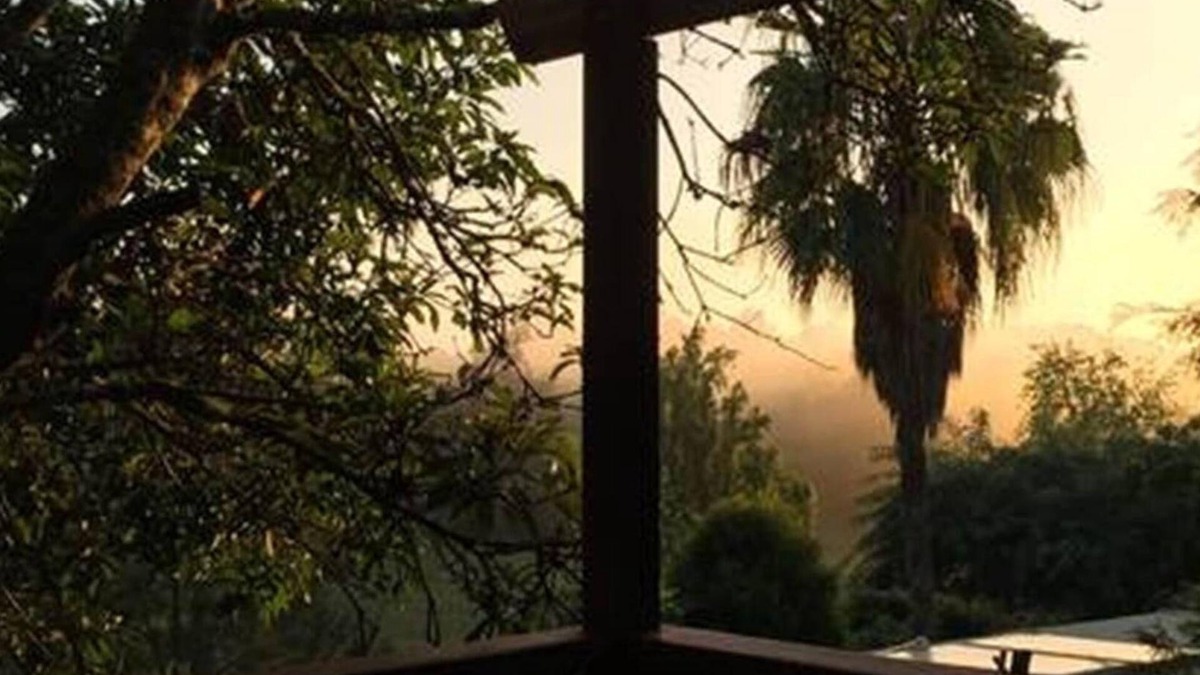 Bellingen Cabin | Fully detached, centrally located, quite, private, open plan cabin