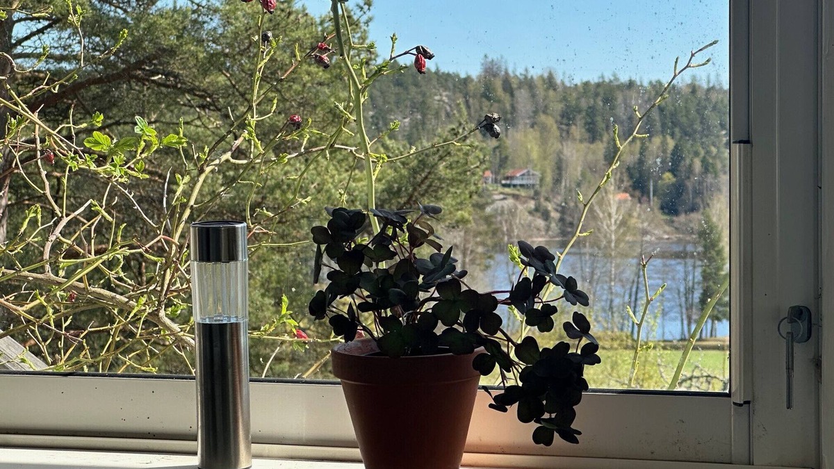 Molnbo House | Fully equipped holiday home with wonderful lake view 40 minutes outside Stockholm
