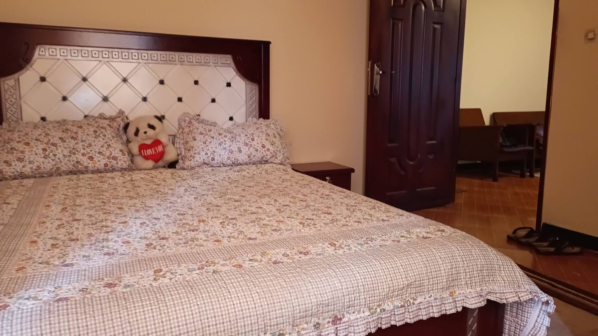 Arada Condo | Fully furnished 1 bedroom condo in the center of Addis Ababa.
