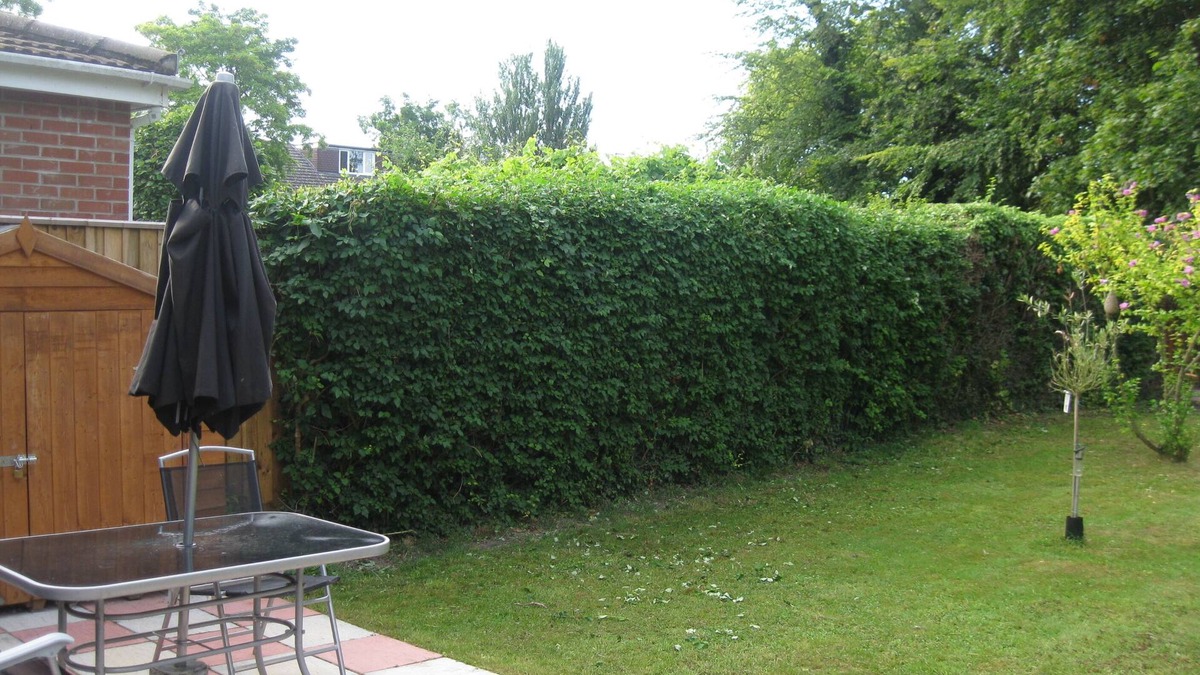 Cherry Hinton Apartment | Fully furnished all confort flat with private garden!
