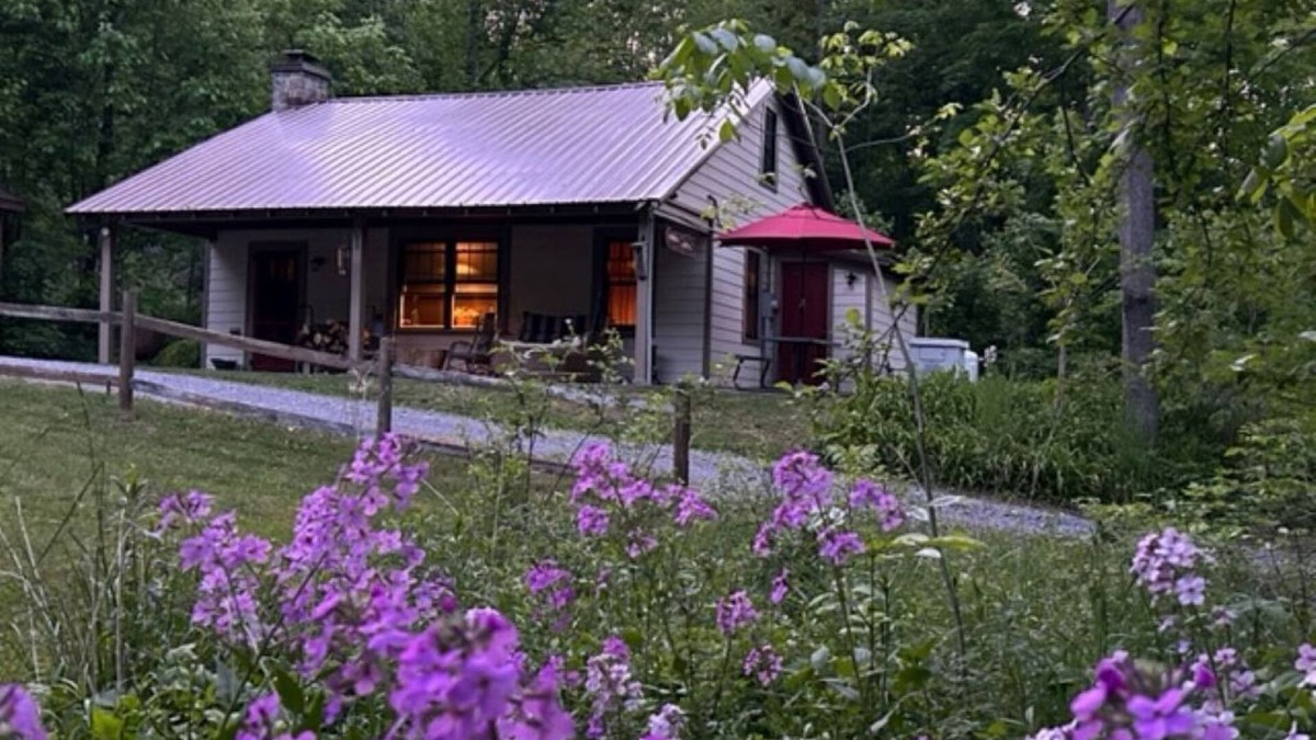 Warriors Mark Cabin | Fully remodeled Private Cabin on 60 acres with pond and stream