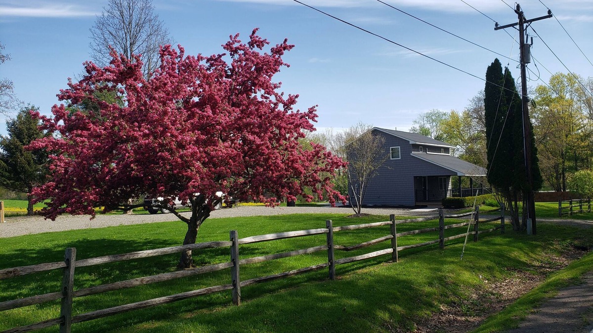 Watkins Glen House | Fully Renovated rural cottage in the perfect spot!