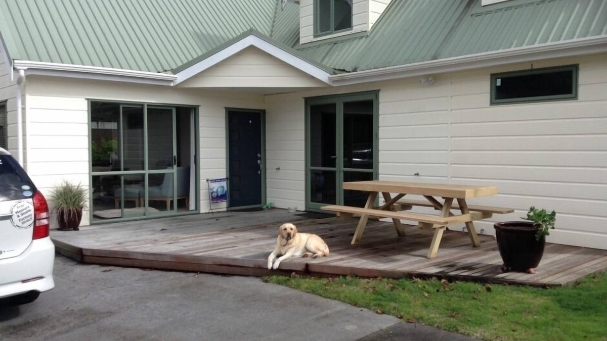 Pauanui House | Fun family home for all to enjoy
