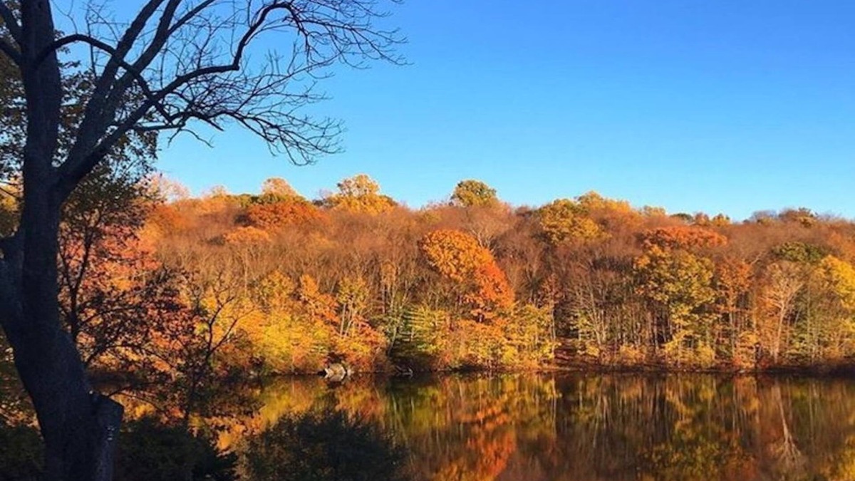 Mahopac House | Fun, Friends, and Family Lakefront Home w/Dock and Beach