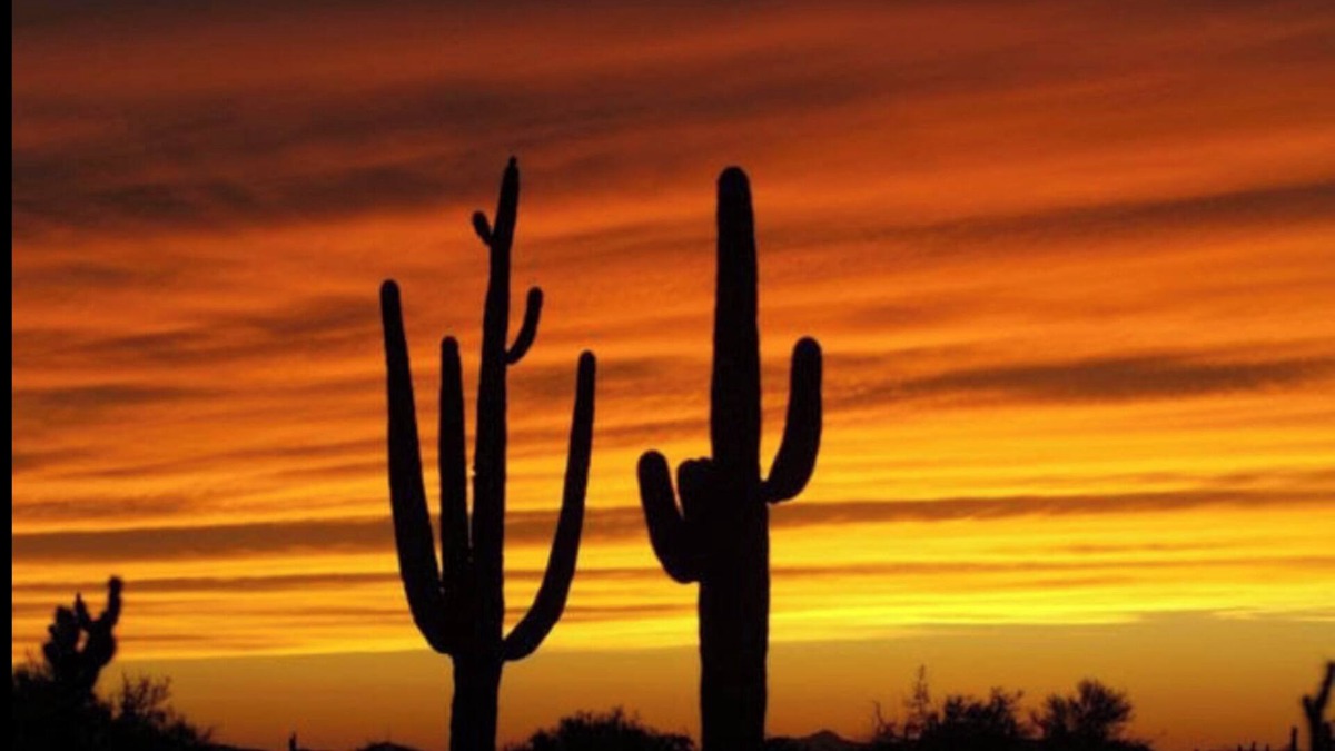 Cottonflower House | FUN IN THE ARIZONA SUN! HEATED POOL! POOL RESURFACED AND RETILED JUNE 2025 😁