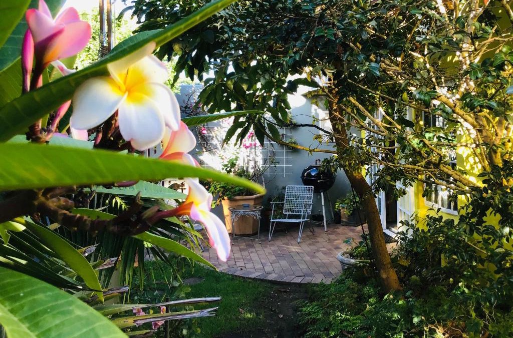 Westcliff House | Funky cottage
