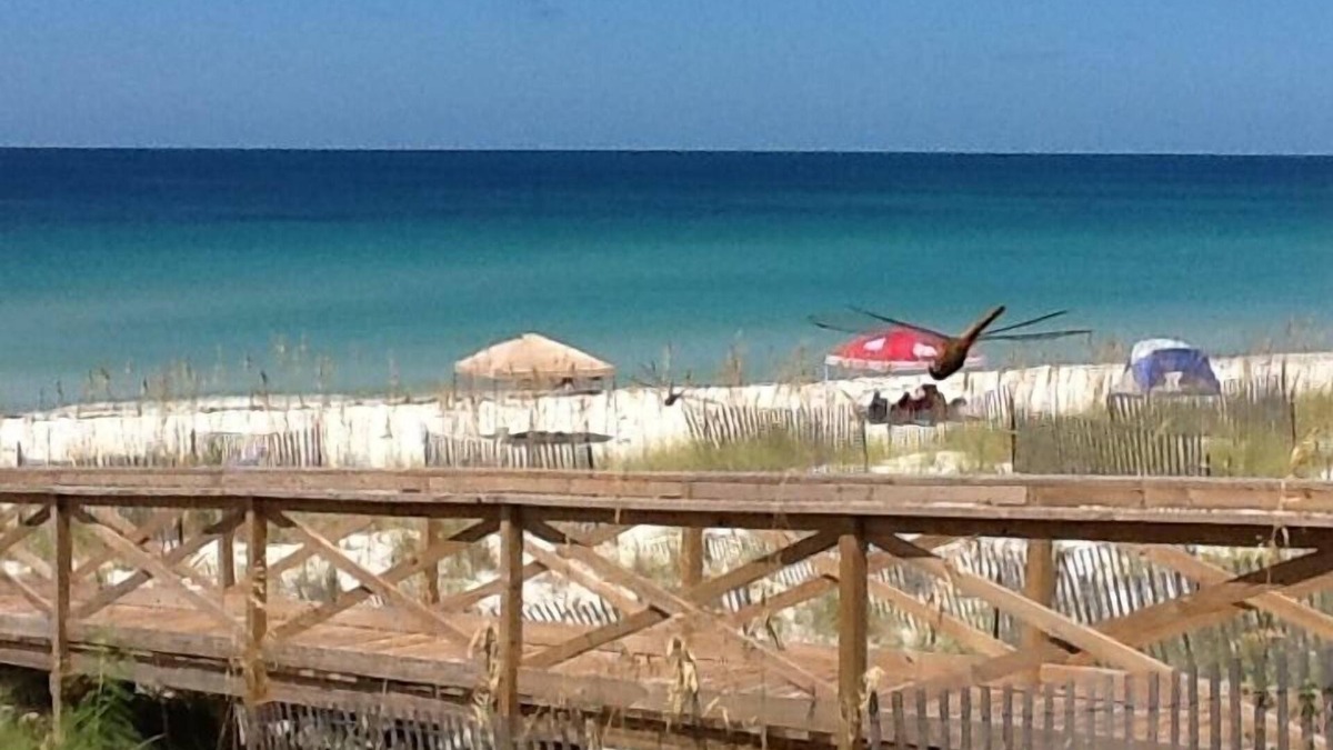 Port St. Joe House | FUNSEEKER- 5 STAR PROPERTY! 49 SEC TO BCH. GULF VIEW & PETS OK