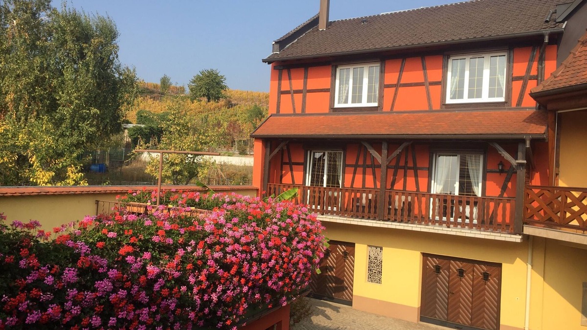 Itterswiller Apartment | Furnished all mod cons apartment in a half-timbered Alsatian house