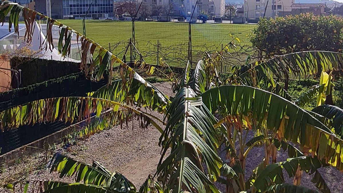 La Valette-du-Var Apartment | Furnished T6 apartment