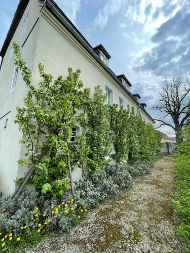 Furstlich Drehna Apartment | Gärtnereihaus in Fürstlich Drehna - Spreewald