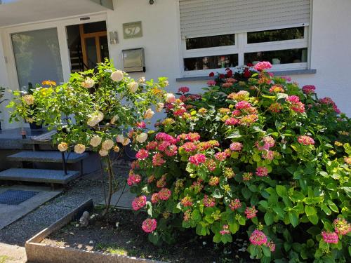 Helmsheim House | Gästehaus Eissler