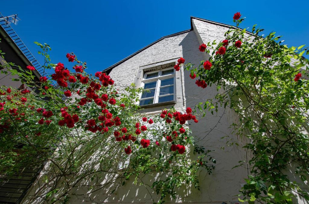 Stolberg House | Gästehaus Vanille & Chocolat