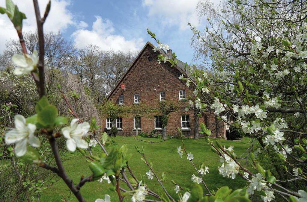 Brockum Apartment | Gästehof Brockum, altes Bauernhaus, großer Garten