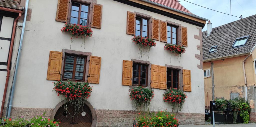 Kintzheim Apartment | Gîte À l'aigle de sable