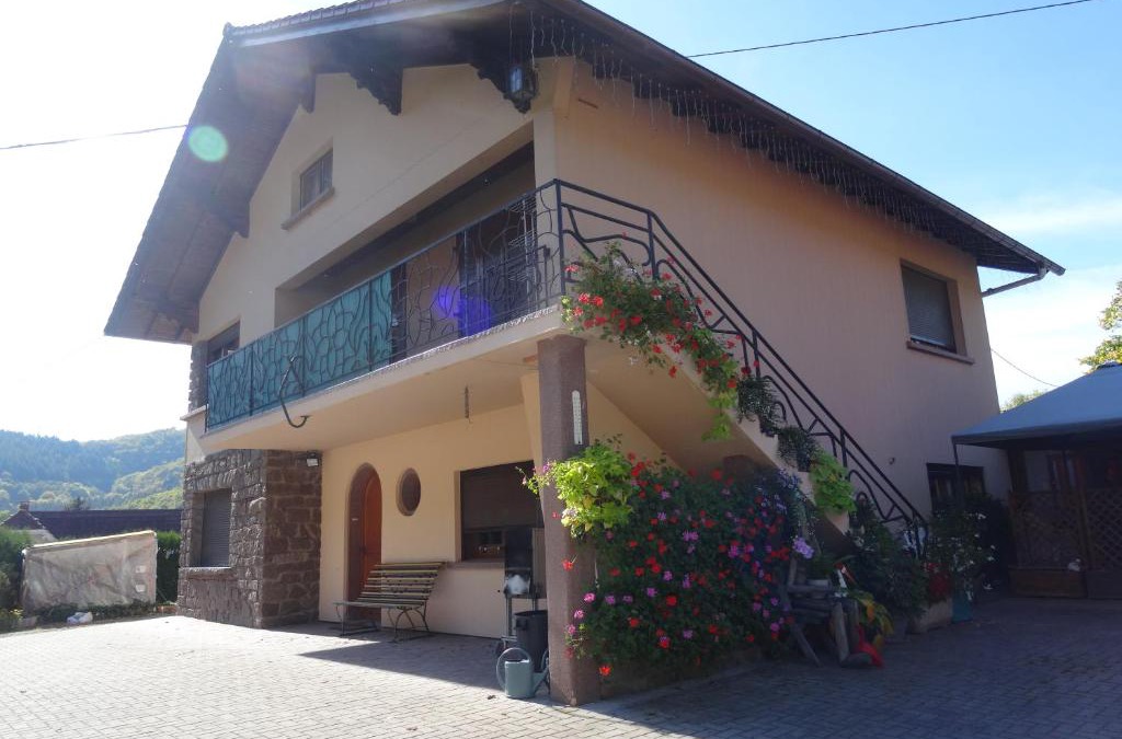 Steige Apartment | Gîte à l'Orée du Bois