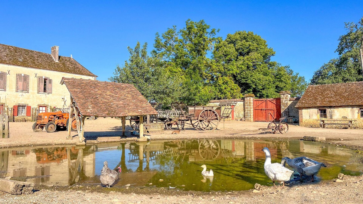 Saint-Fargeau Other | Gîte à la Ferme . À 9km de Guédelon, à 800m du Château de Saint-fargeau