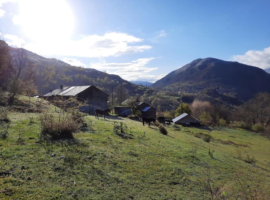 Senconac House | Gîte à la ferme calme et chaleureux avec cheminée.