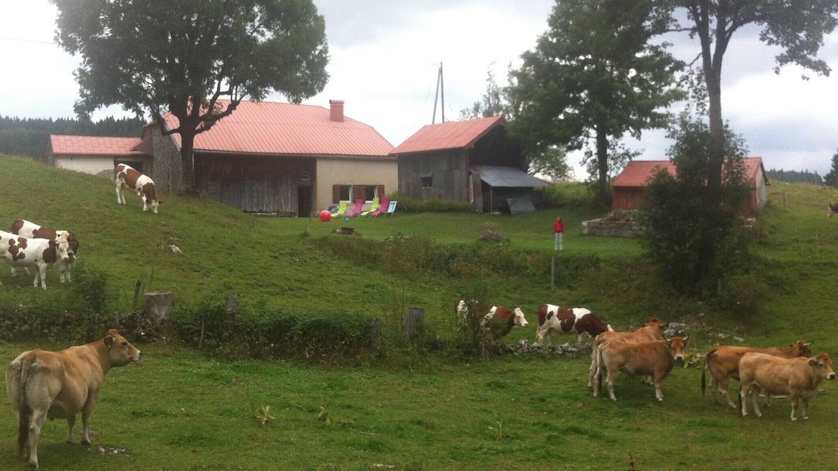Bellecombe House | Gîte 3 ch. 10 Pers. Sans Voisin sur 30 Hectares