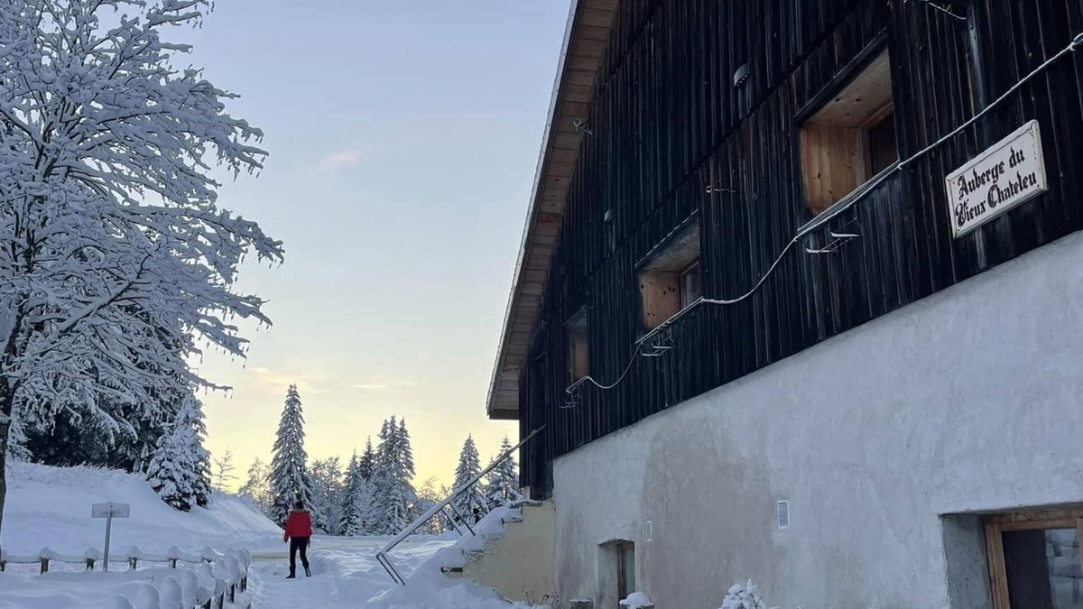 Les Gras Apartment | Gîte "au Cœur des Rêves" en Pleine Nature! En Montagne, Idéal Pour se Ressourcer