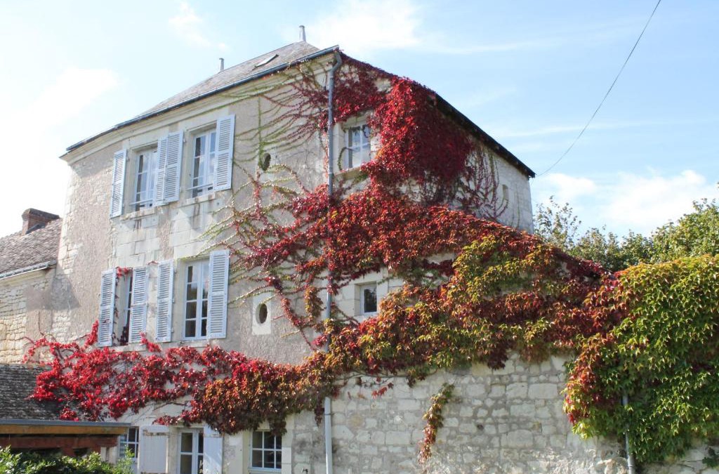 La Roche-Posay House | Gîte au calme avec jardin et WIFI à La Roche-Posay - FR-1-541-52