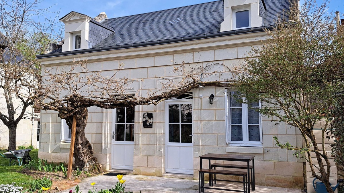 Savigny-en-Veron House | Gîte au Coeur des Châteaux et Vignobles de Chinon - Bourgueil - Saumur -