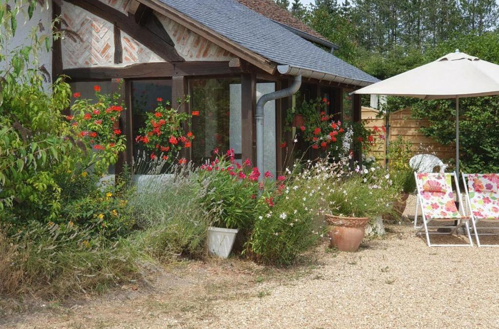 Contres House | Gîte Cheverny, 2 pièces, 3 personnes - FR-1-491-13