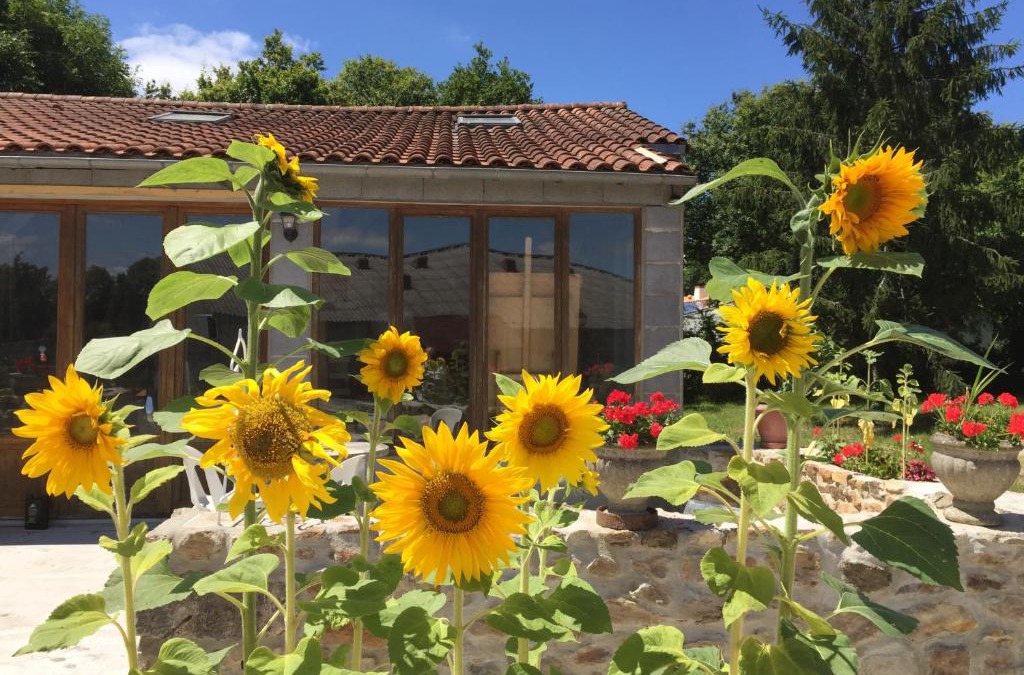 Touvois House | Gîte climatisé de La Haute Rue