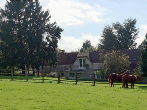 Radon House | Gîte cosy avec accès à un camping, étang, VTT, et proche de randonnées et d'Alençon, animaux acceptés - FR-1-497-111