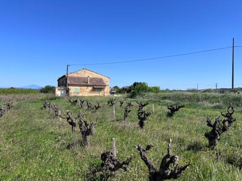 Pont-Saint-Esprit House | Gîte d'ysée au milieu des vignes