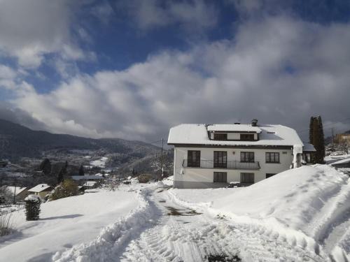 Saint-Maurice-sur-Moselle Apartment | Gîte de famille dans les Vosges