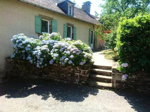 Albignac Apartment | Gîte de France Chez jeannette 3 épis - Gîte de France 6 personnes MAE-9344