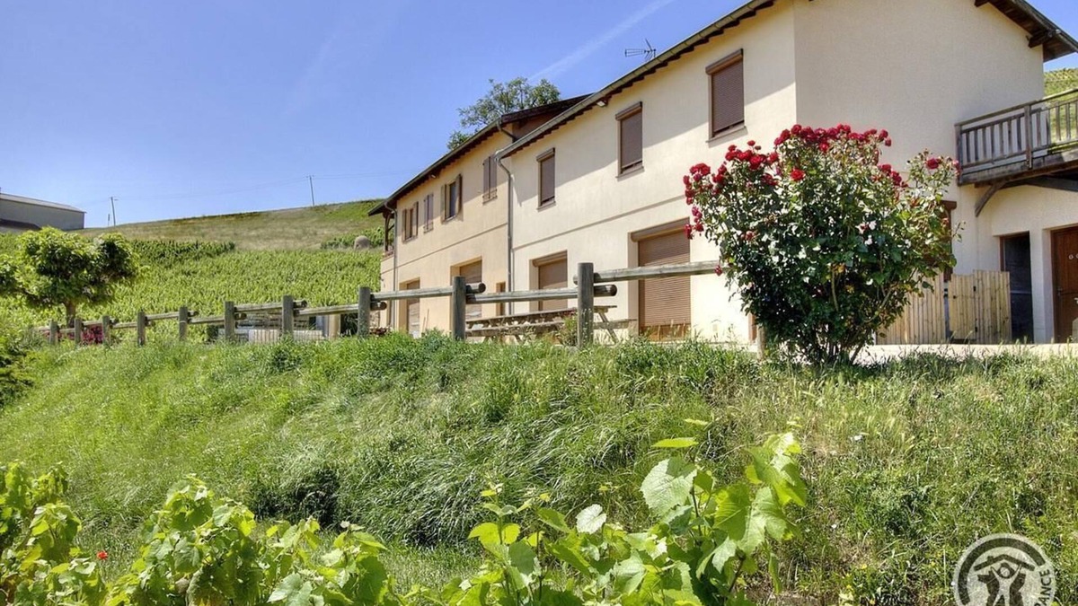 Fleurie House | Gîte de l'Artisan-Vigneron