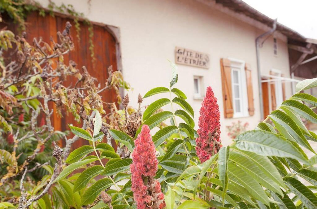 Seuil-d'Argonne House | Gîte de l'Etrier 3 * : Le calme à la campagne !
